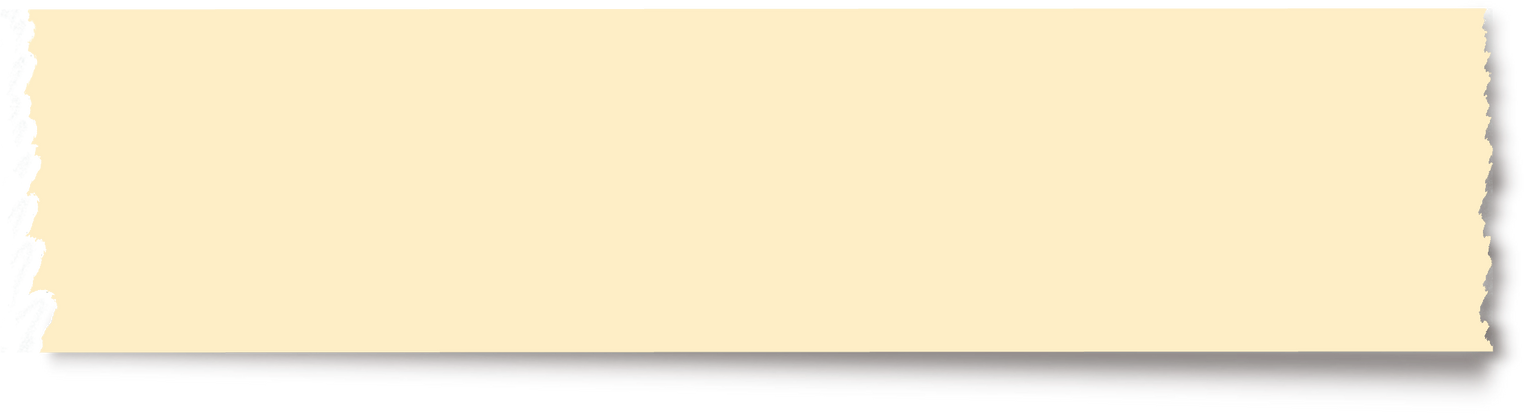 Torn Strip of Paper